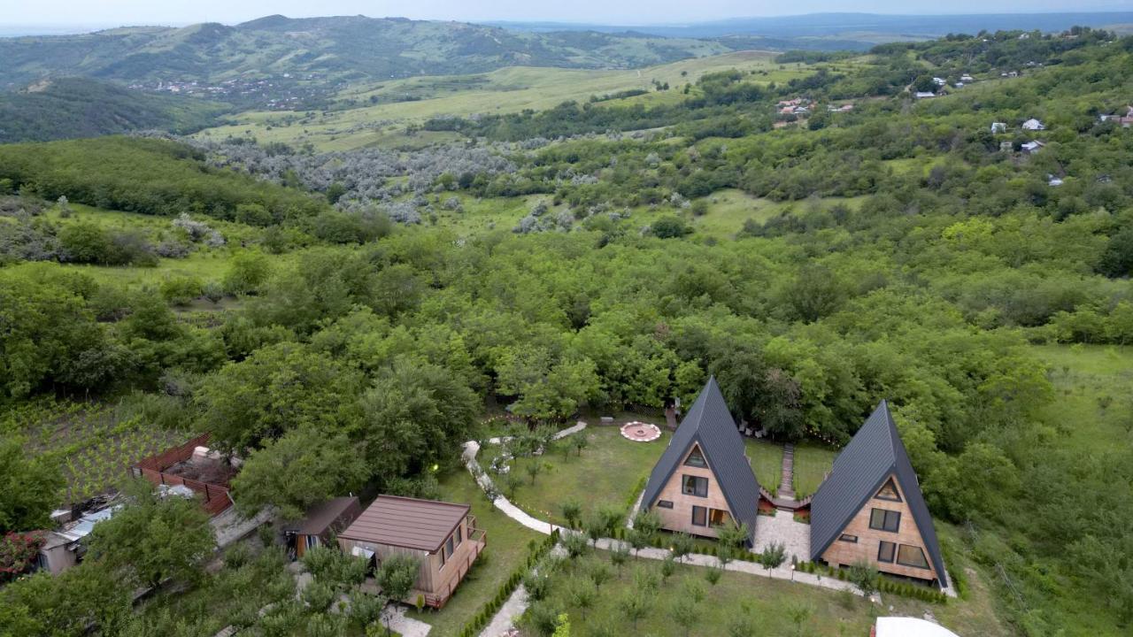 Arta Chalet Ceptura de Jos 外观 照片
